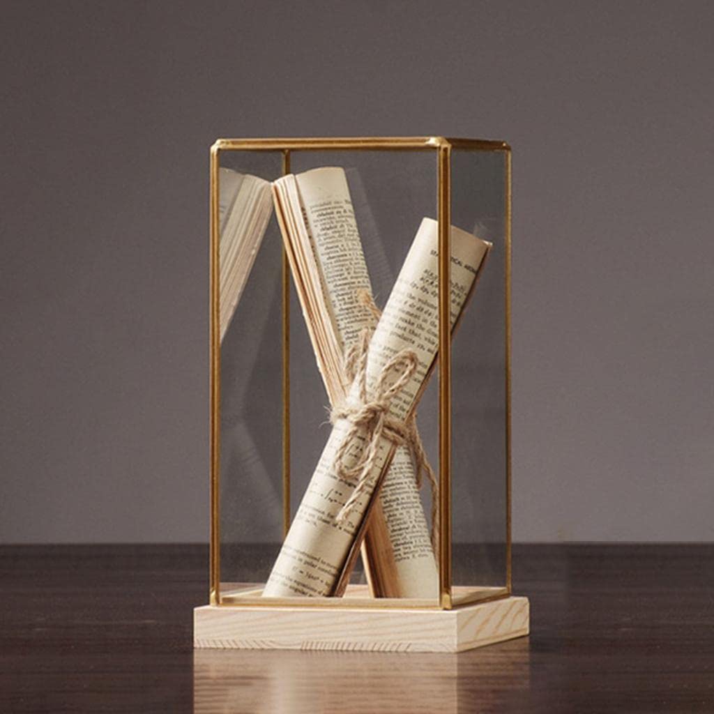 Amazon.co.jp: homozy ジェネリックガラスディスプレイケース 装飾防塵